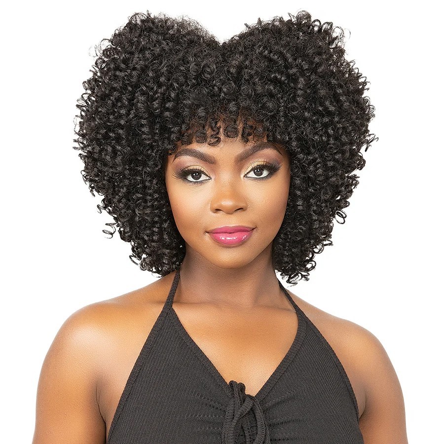 Janet Collection Natural Curly Premium Synthetic Fiber Wig – AFRO GLYN