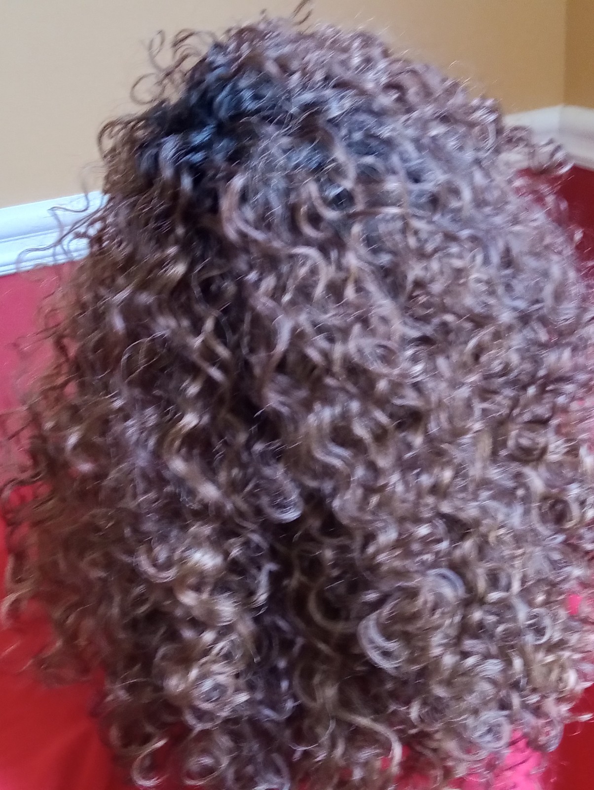 Sensationnel Dashly Full Wig Curly – Unit 27, BALAYAGE SUNKISSED
