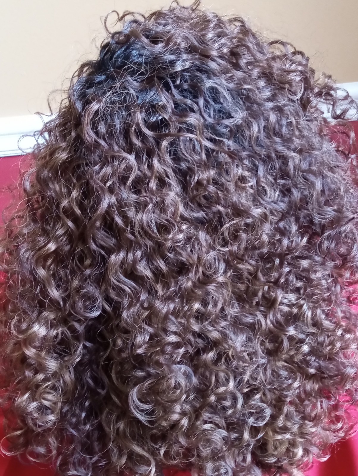 Sensationnel Dashly Full Wig Curly – Unit 27, BALAYAGE SUNKISSED