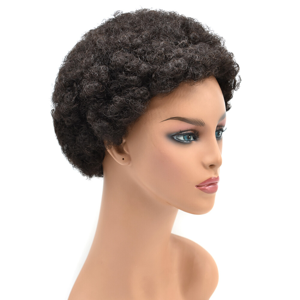 100%Human Hair Wig Short Afro Curly Wigs for Black Women Brazilian Virgin Hair